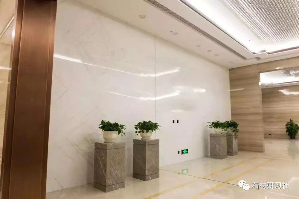 White Elegant Marble Tile Slab for Flooring Wall Contertop